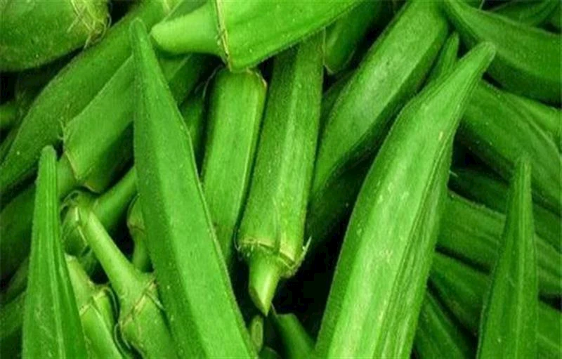 Green Okra-Lady finger - 50+ seeds