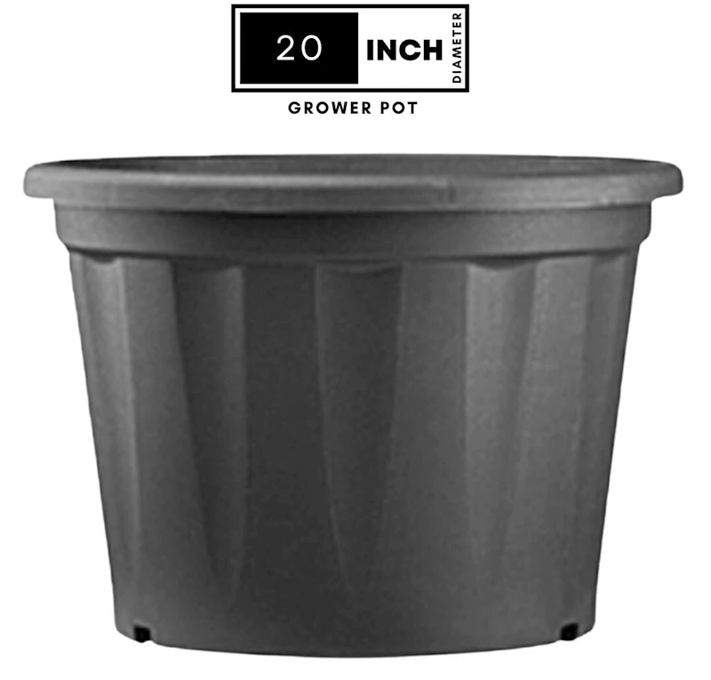 20 inch - 1 no 