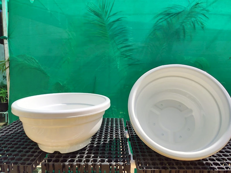 Bonsai pot - White