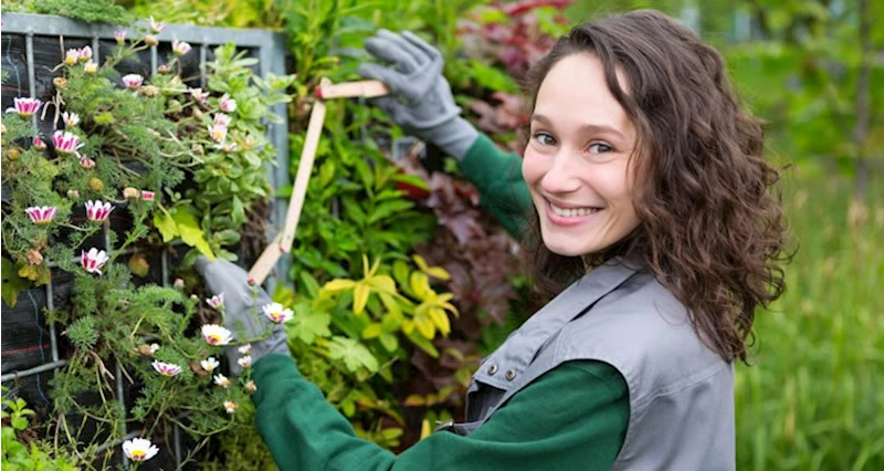  Garden Service - 5 hour