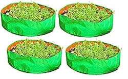 spinach-bags