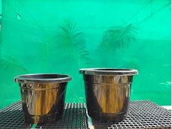 pots
