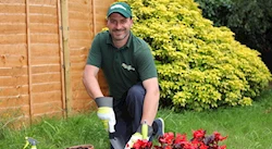 gardener
