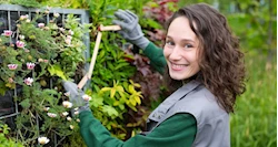 gardener