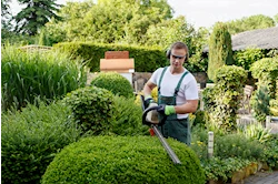 gardener