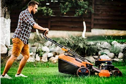 gardener